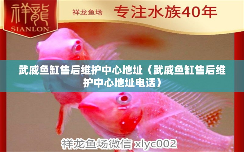 武威魚缸售后維護(hù)中心地址（武威魚缸售后維護(hù)中心地址電話）