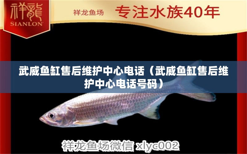 武威魚缸售后維護(hù)中心電話（武威魚缸售后維護(hù)中心電話號(hào)碼） 其他品牌魚缸