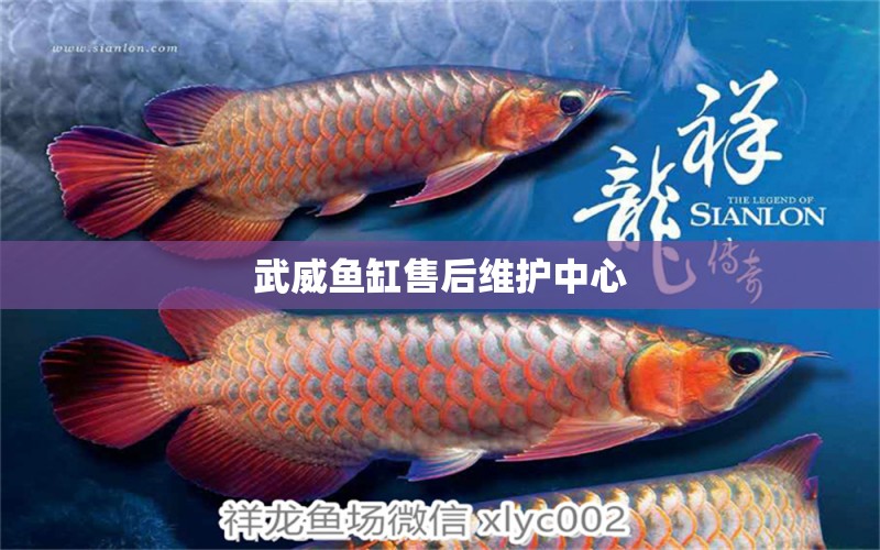 武威魚缸售后維護(hù)中心