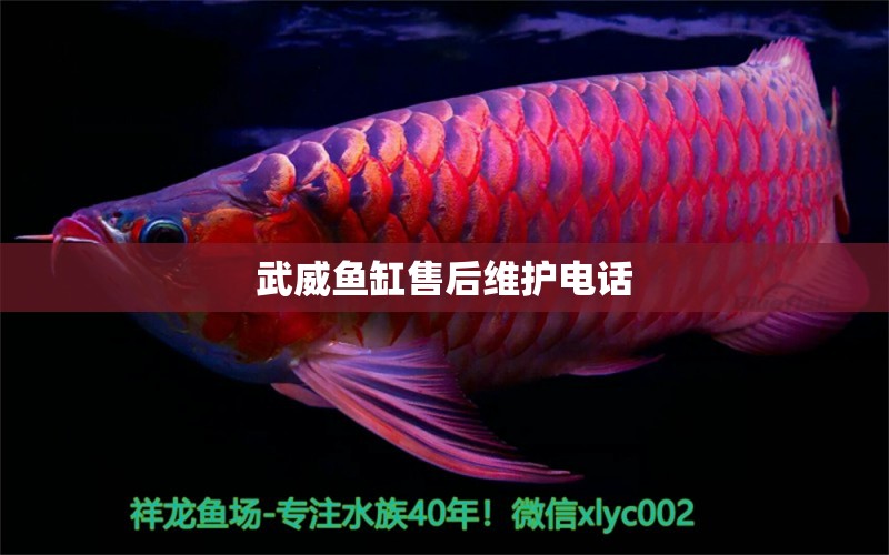 武威魚缸售后維護(hù)電話 其他品牌魚缸