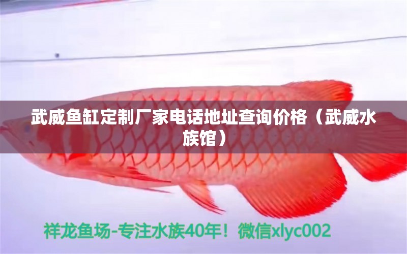 武威魚缸定制廠家電話地址查詢價(jià)格（武威水族館）