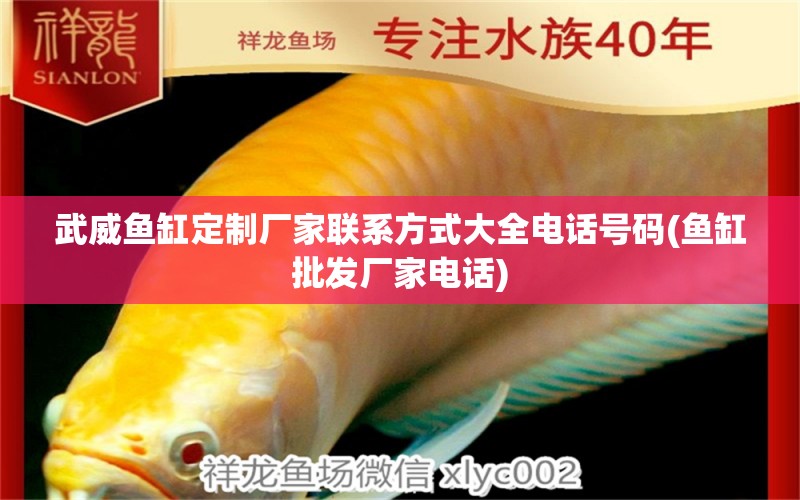 武威魚(yú)缸定制廠家聯(lián)系方式大全電話號(hào)碼(魚(yú)缸批發(fā)廠家電話) 三色錦鯉魚(yú)