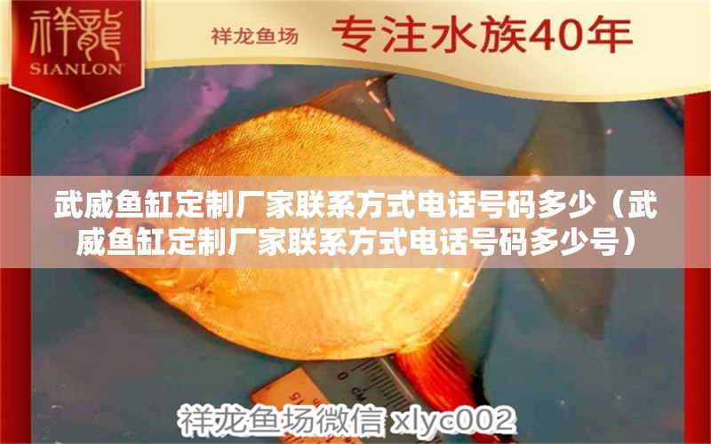 武威魚(yú)缸定制廠家聯(lián)系方式電話號(hào)碼多少（武威魚(yú)缸定制廠家聯(lián)系方式電話號(hào)碼多少號(hào)）