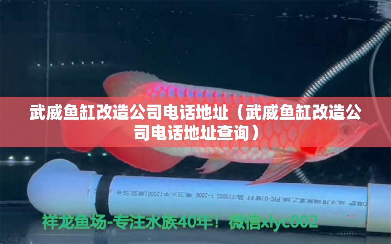 武威魚(yú)缸改造公司電話地址（武威魚(yú)缸改造公司電話地址查詢） 黑白雙星魚(yú)