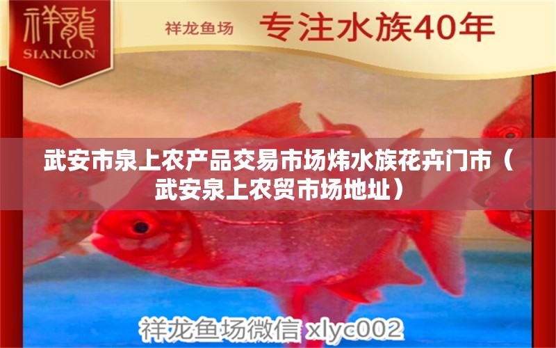 武安市泉上農產品交易市場煒水族花卉門市（武安泉上農貿市場地址）