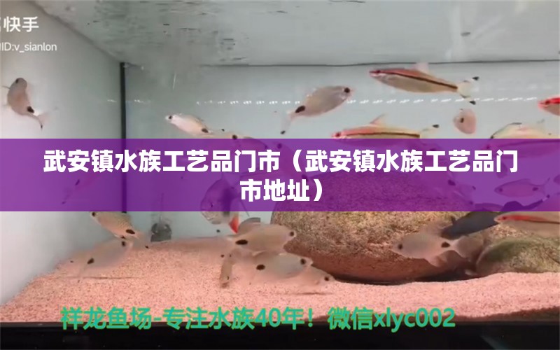 武安鎮(zhèn)水族工藝品門市（武安鎮(zhèn)水族工藝品門市地址）