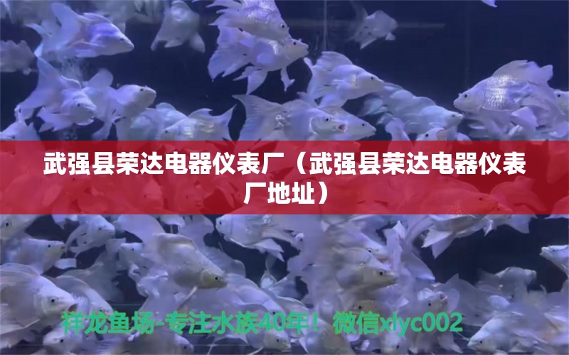 武強縣榮達電器儀表廠（武強縣榮達電器儀表廠地址） 全國水族館企業(yè)名錄