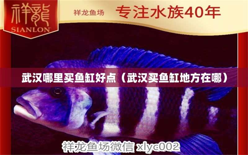 武漢哪里買魚缸好點(diǎn)（武漢買魚缸地方在哪） 充氧泵