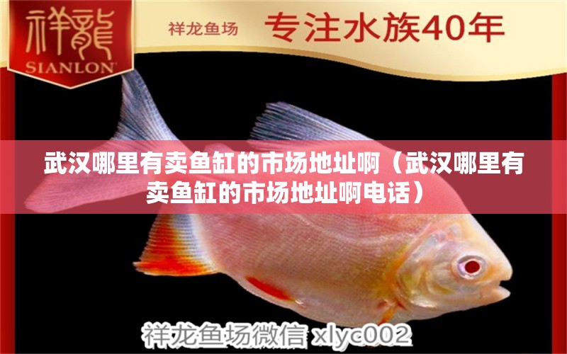 武漢哪里有賣魚缸的市場地址?。ㄎ錆h哪里有賣魚缸的市場地址啊電話） 祥龍水族醫(yī)院