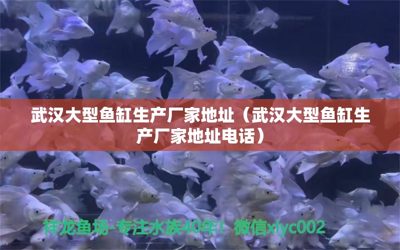 武漢大型魚缸生產(chǎn)廠家地址（武漢大型魚缸生產(chǎn)廠家地址電話） 其他品牌魚缸