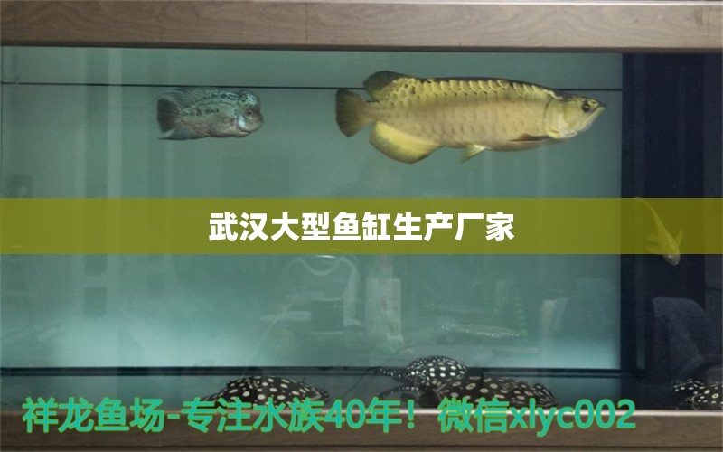 武漢大型魚缸生產(chǎn)廠家