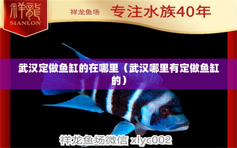 武漢定做魚缸的在哪里（武漢哪里有定做魚缸的）