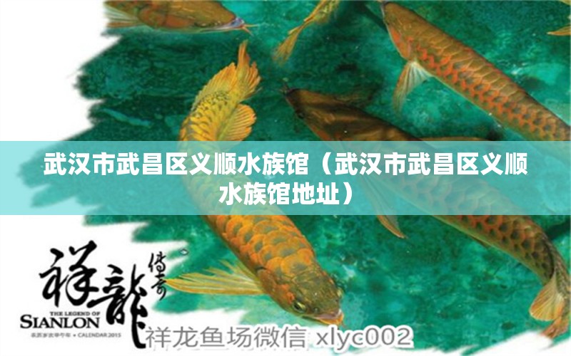 武漢市武昌區(qū)義順水族館（武漢市武昌區(qū)義順水族館地址）