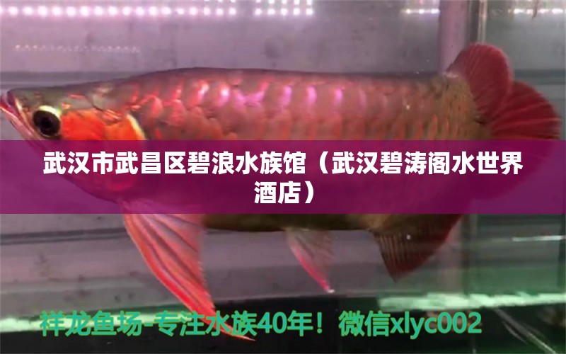 武漢市武昌區(qū)碧浪水族館（武漢碧濤閣水世界酒店）