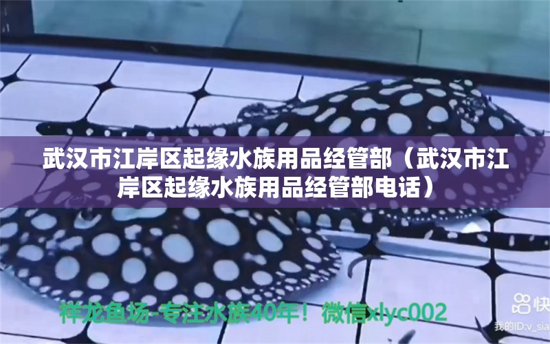 武漢市江岸區(qū)起緣水族用品經(jīng)管部（武漢市江岸區(qū)起緣水族用品經(jīng)管部電話）