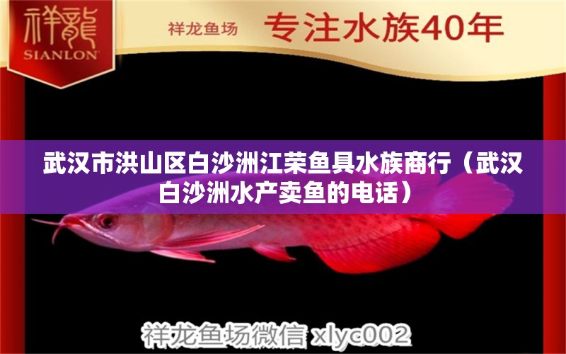 武漢市洪山區(qū)白沙洲江榮魚具水族商行（武漢白沙洲水產(chǎn)賣魚的電話）