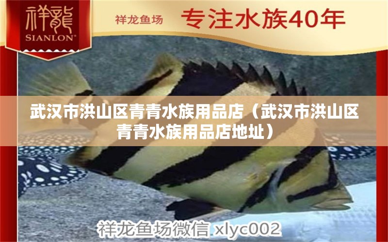 武漢市洪山區(qū)青青水族用品店（武漢市洪山區(qū)青青水族用品店地址）