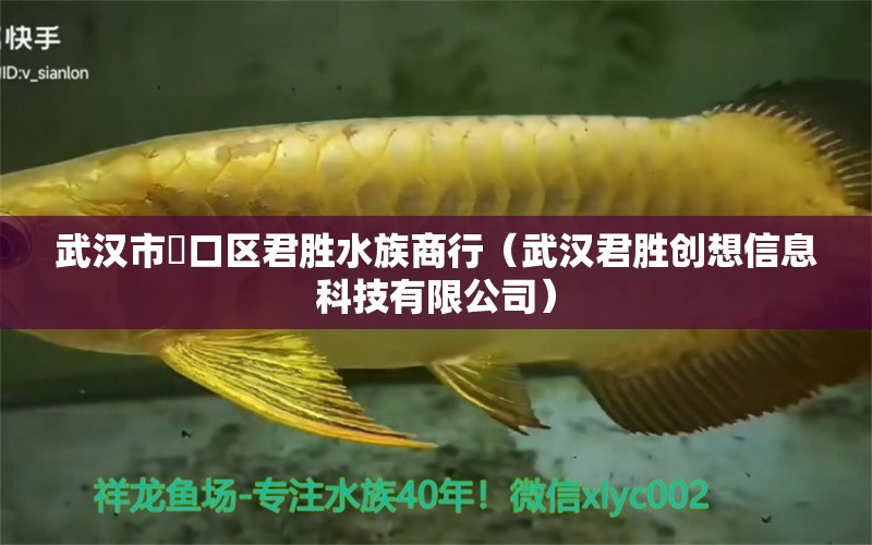 武漢市硚口區(qū)君勝水族商行（武漢君勝創(chuàng)想信息科技有限公司）