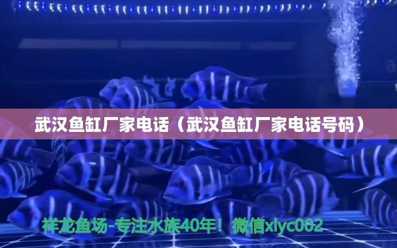 武漢魚缸廠家電話（武漢魚缸廠家電話號(hào)碼）