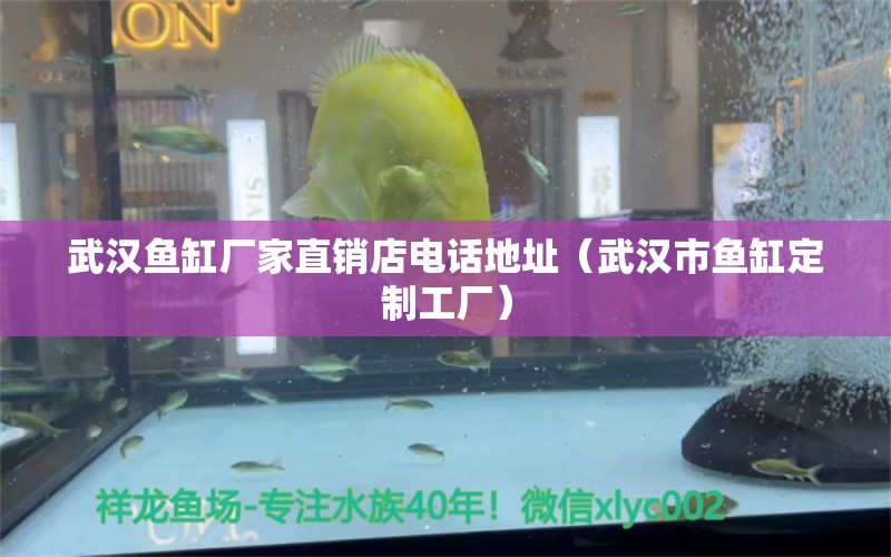 武漢魚缸廠家直銷店電話地址（武漢市魚缸定制工廠） 觀賞魚批發(fā)