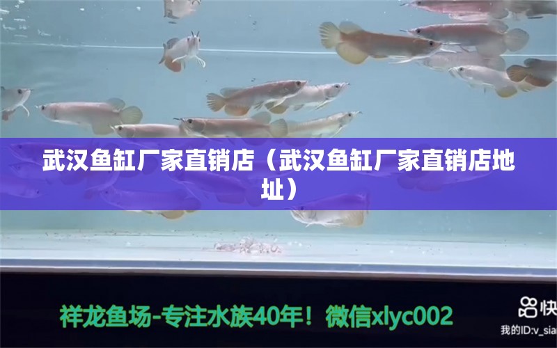 武漢魚缸廠家直銷店（武漢魚缸廠家直銷店地址）