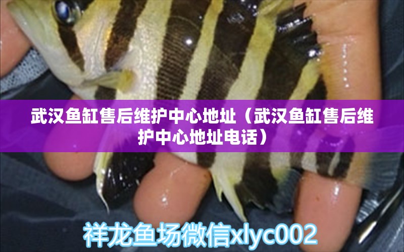 武漢魚缸售后維護(hù)中心地址（武漢魚缸售后維護(hù)中心地址電話） 其他品牌魚缸