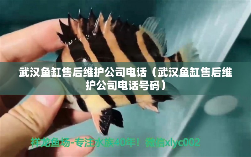 武漢魚(yú)缸售后維護(hù)公司電話（武漢魚(yú)缸售后維護(hù)公司電話號(hào)碼）