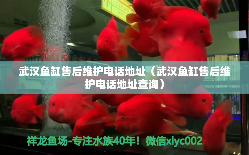 武漢魚缸售后維護(hù)電話地址（武漢魚缸售后維護(hù)電話地址查詢） 其他品牌魚缸