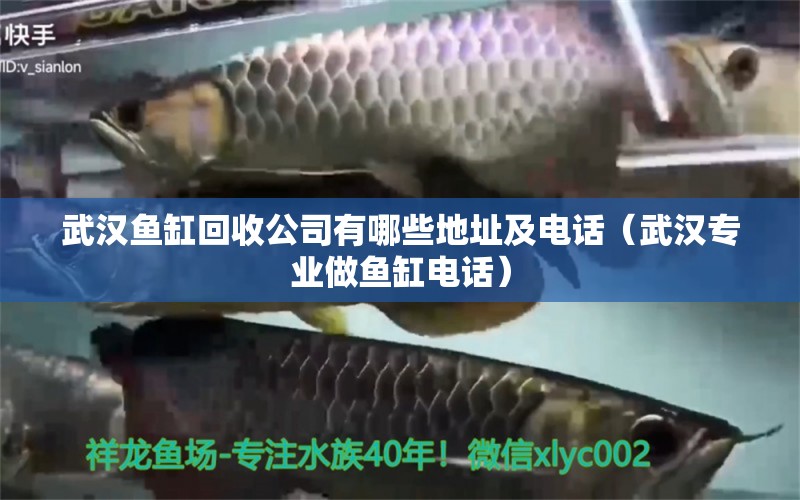 武漢魚缸回收公司有哪些地址及電話（武漢專業(yè)做魚缸電話）