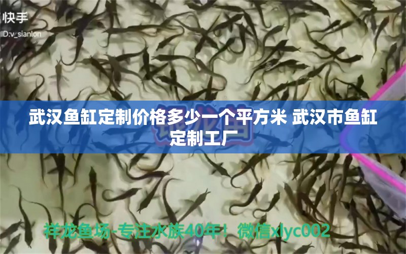 武漢魚缸定制價(jià)格多少一個(gè)平方米 武漢市魚缸定制工廠 食人魚（水虎） 第1張