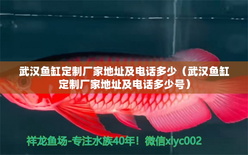 武漢魚缸定制廠家地址及電話多少（武漢魚缸定制廠家地址及電話多少號）