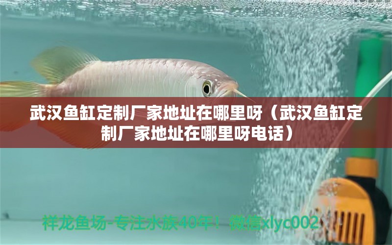 武漢魚缸定制廠家地址在哪里呀（武漢魚缸定制廠家地址在哪里呀電話） 觀賞魚市場（混養(yǎng)魚）