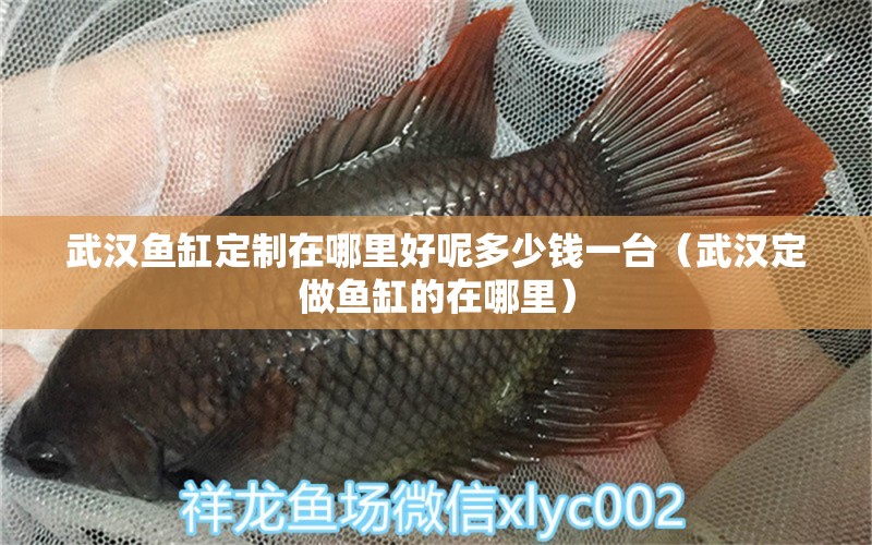 武漢魚(yú)缸定制在哪里好呢多少錢(qián)一臺(tái)（武漢定做魚(yú)缸的在哪里）