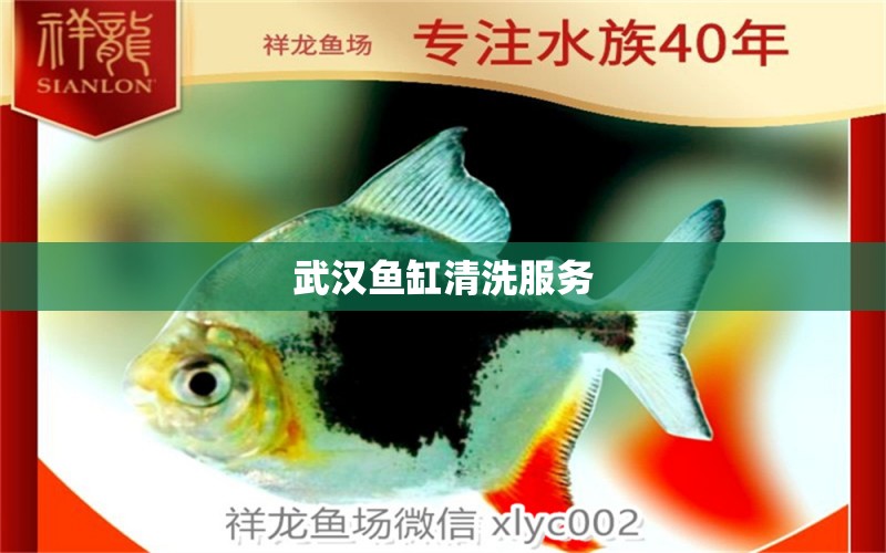 武漢魚缸清洗服務 其他品牌魚缸