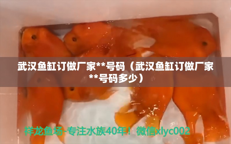 武漢魚缸訂做廠家**號碼（武漢魚缸訂做廠家**號碼多少）