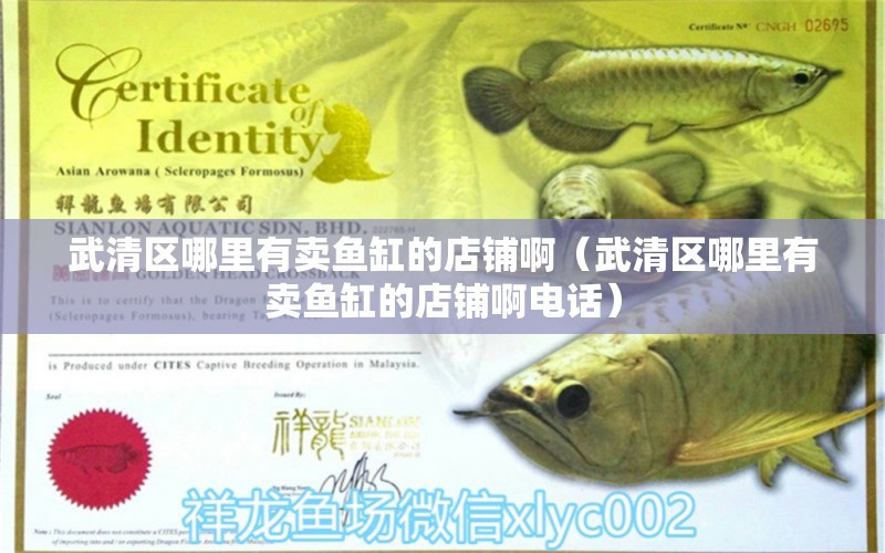 武清區(qū)哪里有賣魚缸的店鋪啊（武清區(qū)哪里有賣魚缸的店鋪啊電話） 沖氧泵