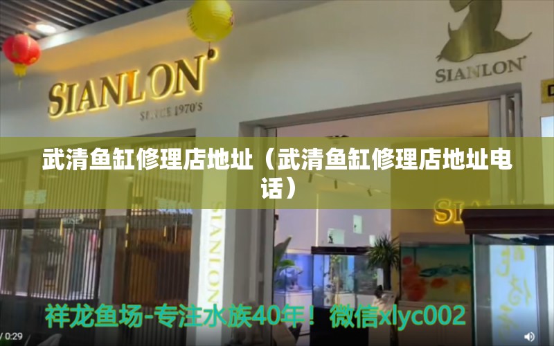 武清魚缸修理店地址（武清魚缸修理店地址電話） 祥龍水族醫(yī)院