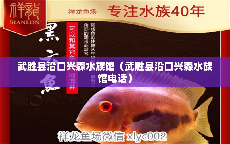 武勝縣沿口興森水族館（武勝縣沿口興森水族館電話(huà)）