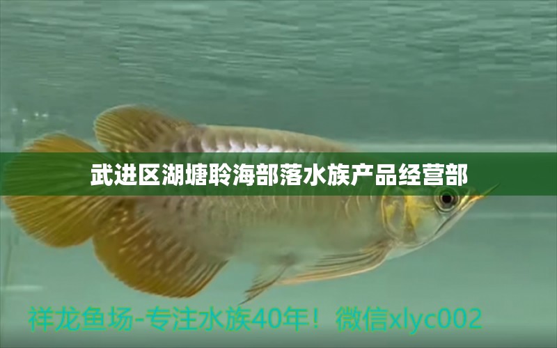 武進區(qū)湖塘聆海部落水族產(chǎn)品經(jīng)營部 全國水族館企業(yè)名錄