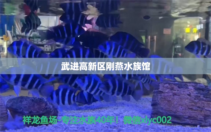 武進高新區(qū)剛燕水族館 全國水族館企業(yè)名錄