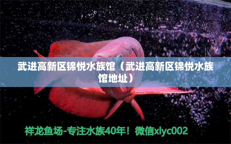 武進(jìn)高新區(qū)錦悅水族館（武進(jìn)高新區(qū)錦悅水族館地址）