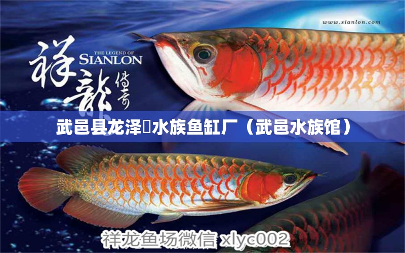 武邑縣龍澤淏水族魚(yú)缸廠（武邑水族館）