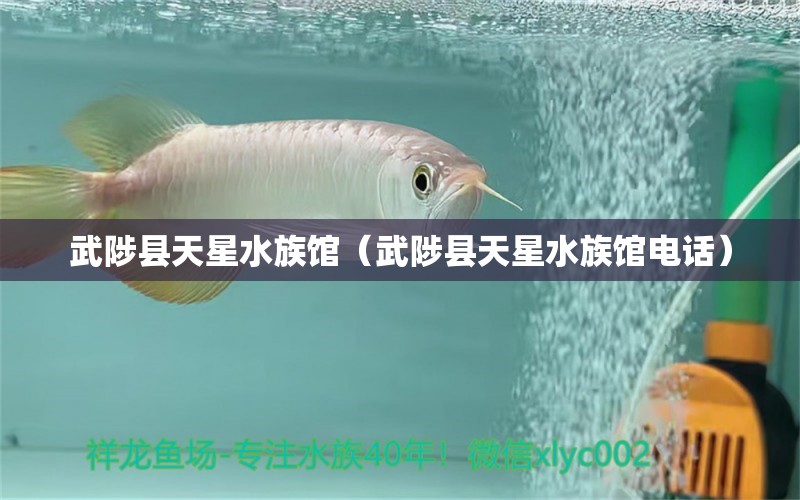 武陟縣天星水族館（武陟縣天星水族館電話） 全國水族館企業(yè)名錄