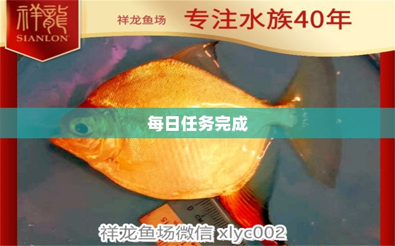 每日任務(wù)完成 觀賞魚(yú)論壇 第2張