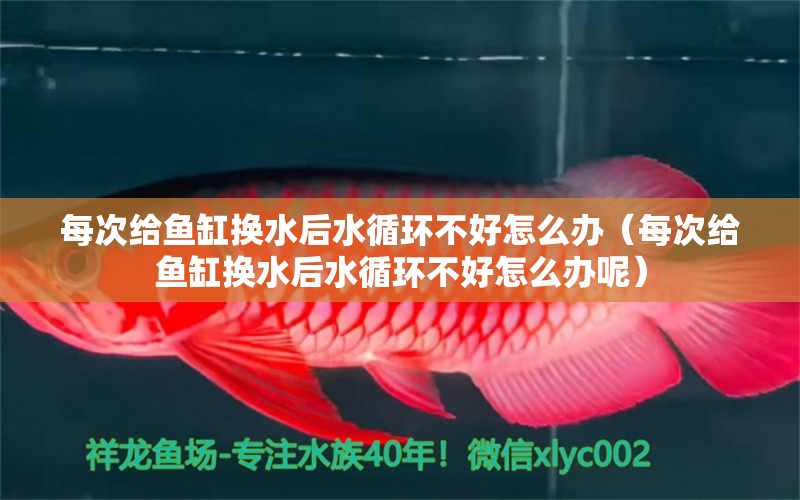 每次給魚缸換水后水循環(huán)不好怎么辦（每次給魚缸換水后水循環(huán)不好怎么辦呢） 觀賞魚市場（混養(yǎng)魚）