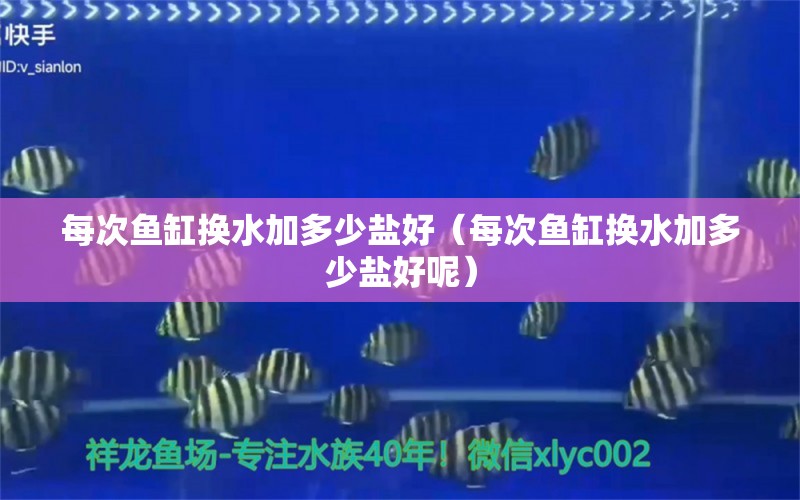 每次魚缸換水加多少鹽好（每次魚缸換水加多少鹽好呢）