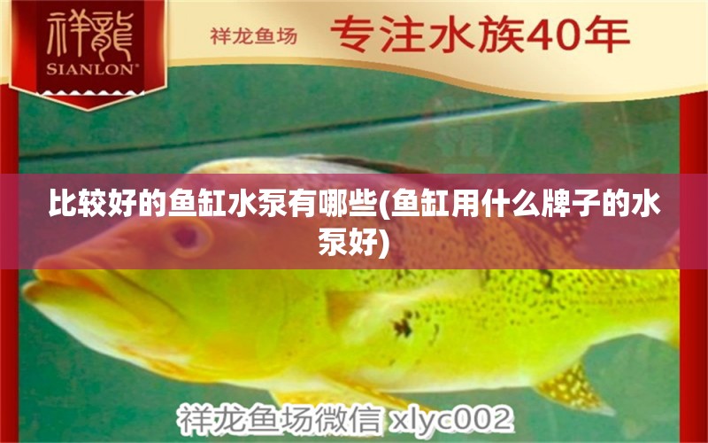 比較好的魚缸水泵有哪些(魚缸用什么牌子的水泵好) 魚缸水泵