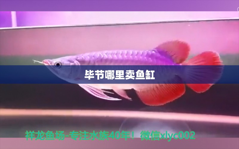 畢節(jié)哪里賣魚缸 其他品牌魚缸