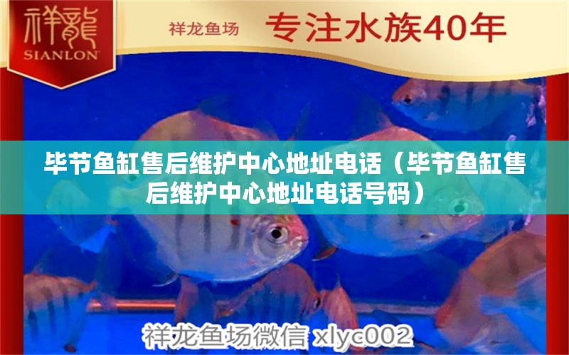 畢節(jié)魚缸售后維護中心地址電話（畢節(jié)魚缸售后維護中心地址電話號碼）