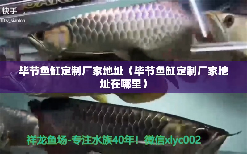 畢節(jié)魚缸定制廠家地址（畢節(jié)魚缸定制廠家地址在哪里） 觀賞魚批發(fā)